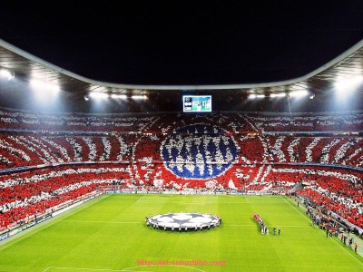 搜狐体育直播-世俱杯球员护具组合推荐方案及个性化配置策略