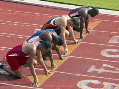 搜狐体育直播-世俱杯球迷组织注册数量与地域影响力评估报告