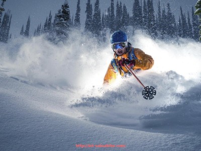 搜狐体育直播-世俱杯球队数据对比分析：谁是最具竞争力的夺冠热门？